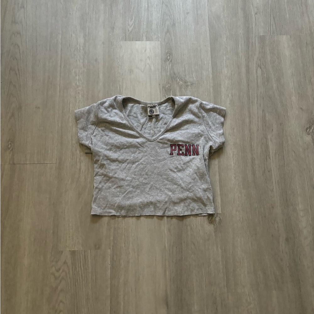 Grey UPenn Crop Top Womens s/m Vneck